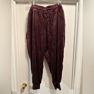 Women’s Plum Velour Joggers